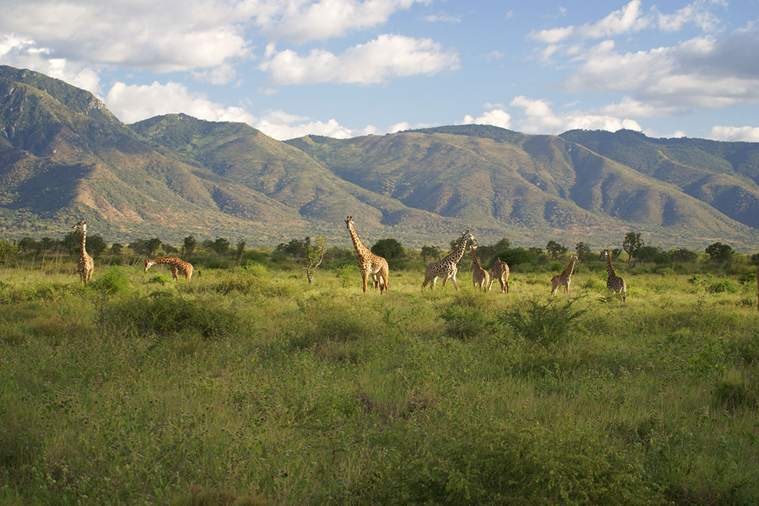 Национальный парк Мкомази