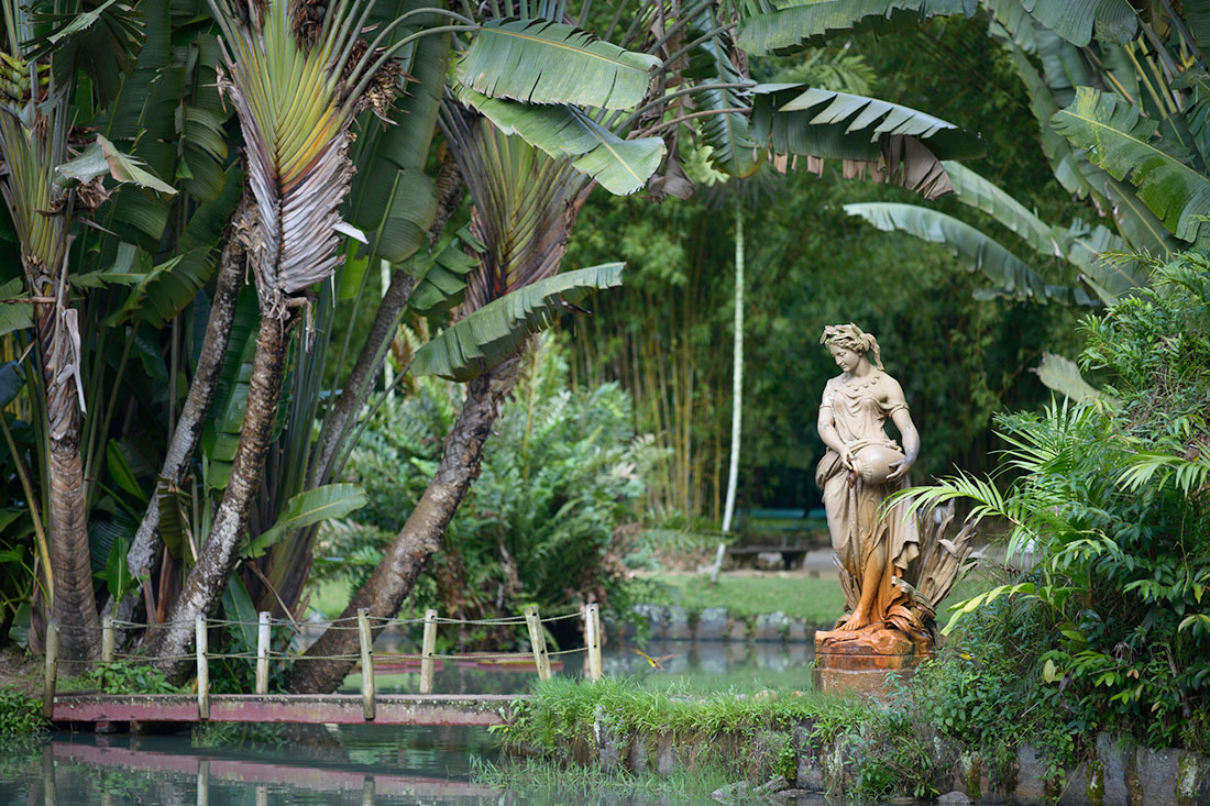 Ботанический сад «Jardim Botanico»