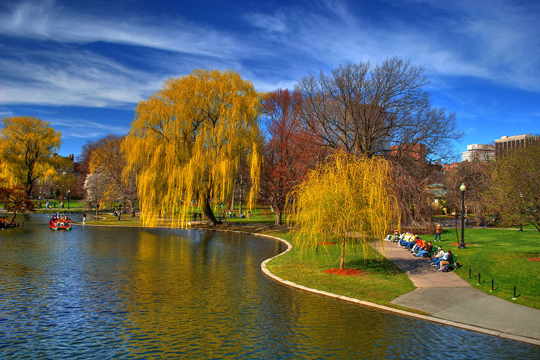 Центральный парк Boston Common
