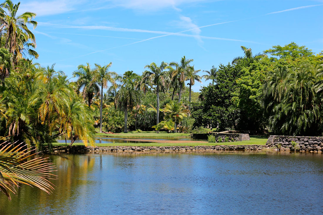 Тропический ботанический сад Fairchild