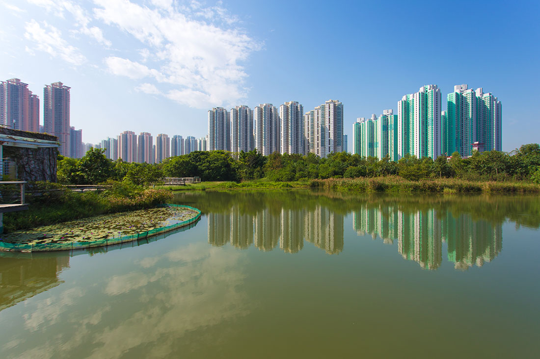 Парк водно-болотных угодий Гонконга