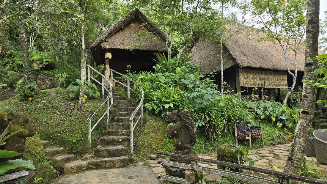 Кофейная плантация (Bali Pulina Coffee Plantation)