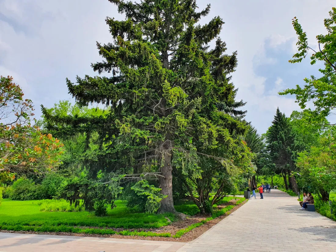 Ботанический сад в Алма-Ате