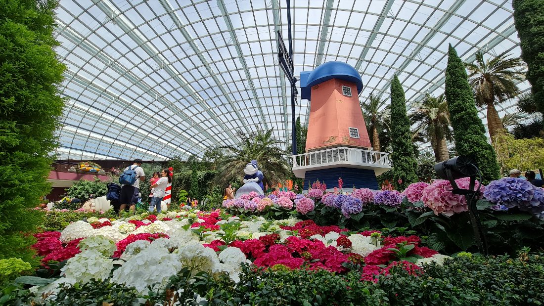 Купол цветов (Flower Dome)