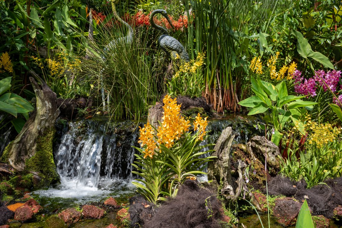 Национальный парк Орхидей (National Orchid Garden)