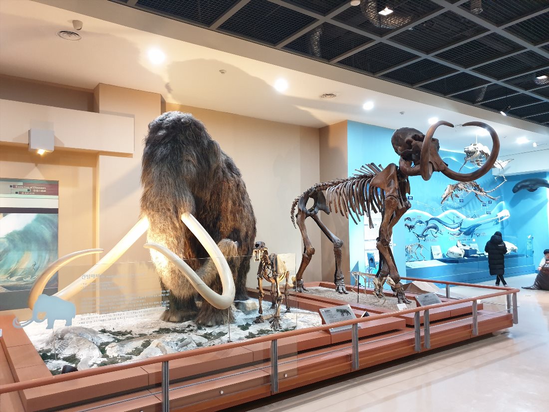 Музей естественной истории «Содэмун» (Seodaemun Museum of Natural History)
