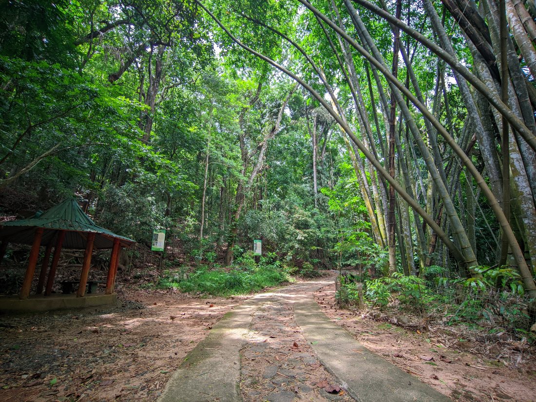 Заповедник Удаваттакеле (Udawattakele Sanctuary)