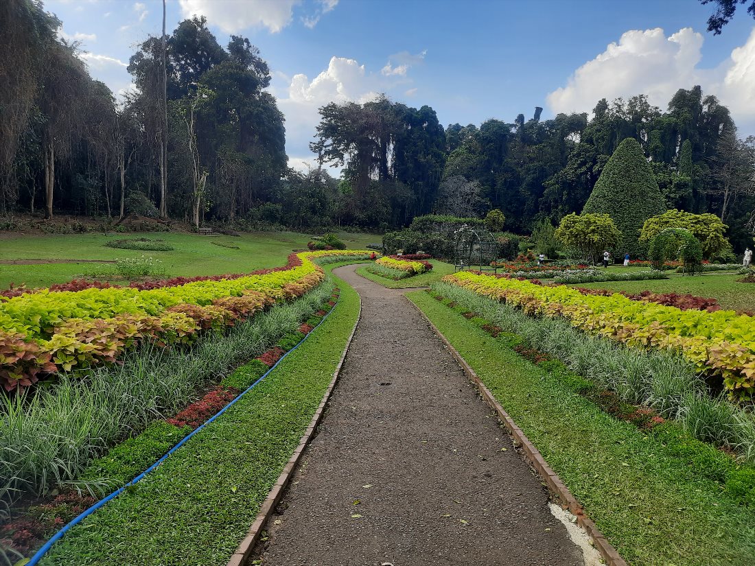 Королевский ботанический сад в Перадении (Royal Botanical Gardens)