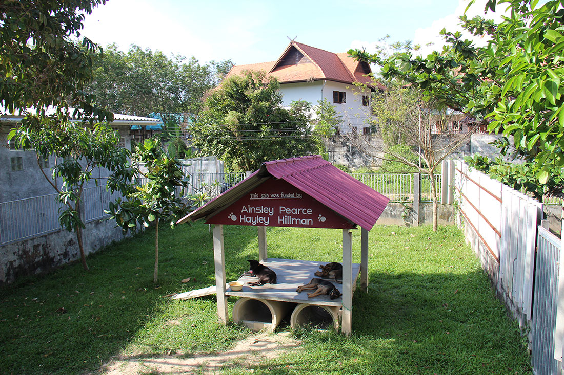Приют Lanta Animal Welfare