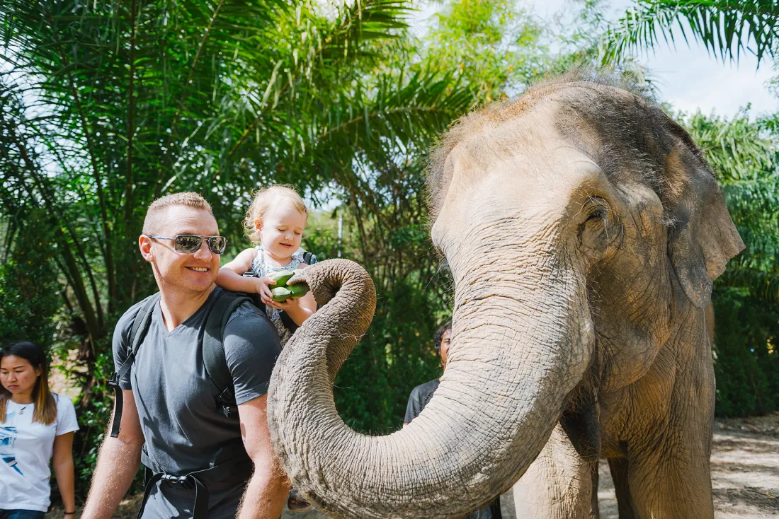 Phuket Elephant Care