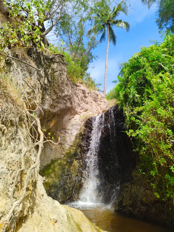 Водопад Suoi Cat Suoi Tien