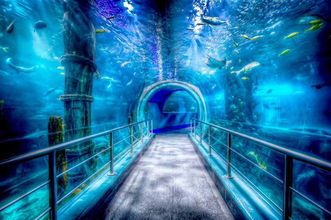 Мельбурнский аквариум