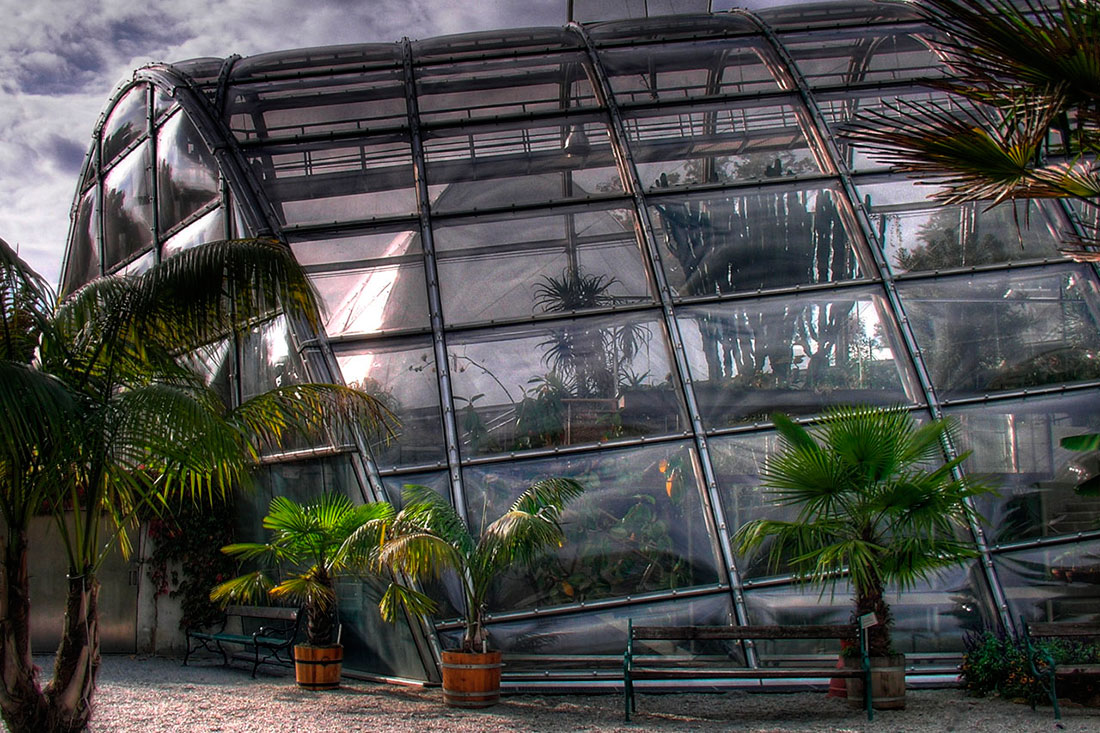 Ботанический сад Карл-Франценс-Университет
