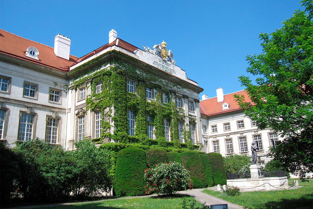 Венская медико-хирургическая академия
