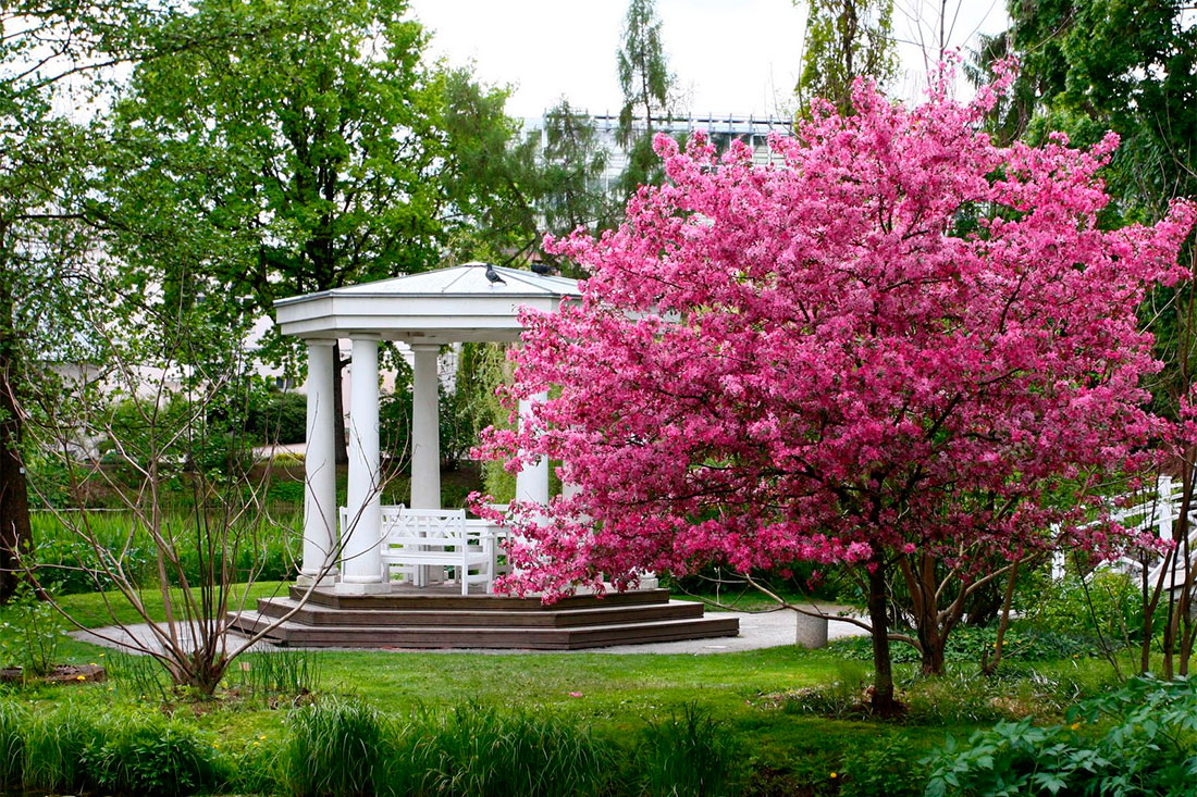 Ботанический сад Тартуского университета