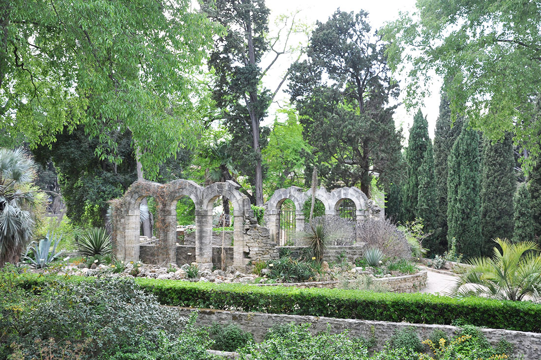 Ботанический сад Jardin des Plantes