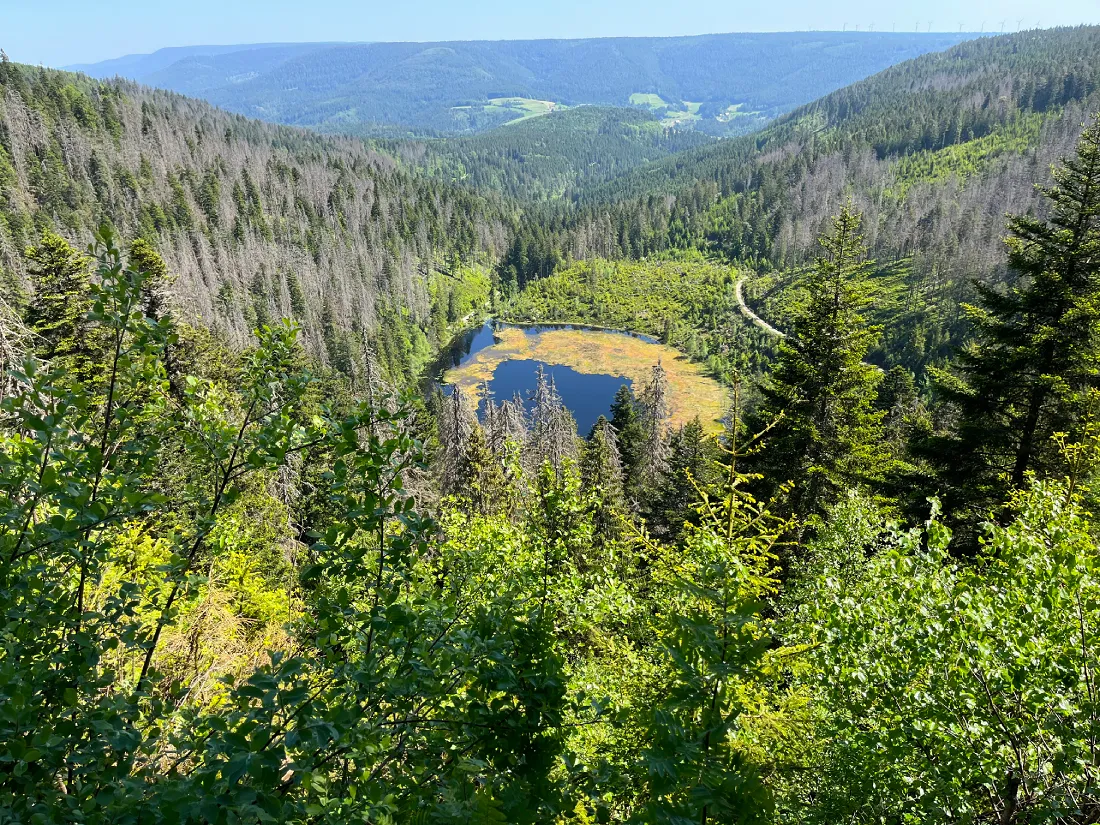 Национальный парк Шварцвальд (Nationalpark Schwarzwald)