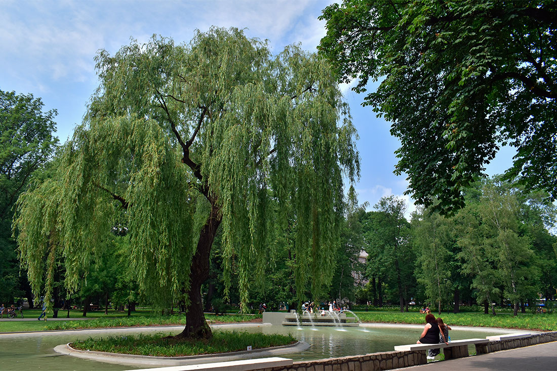 Краковский парк