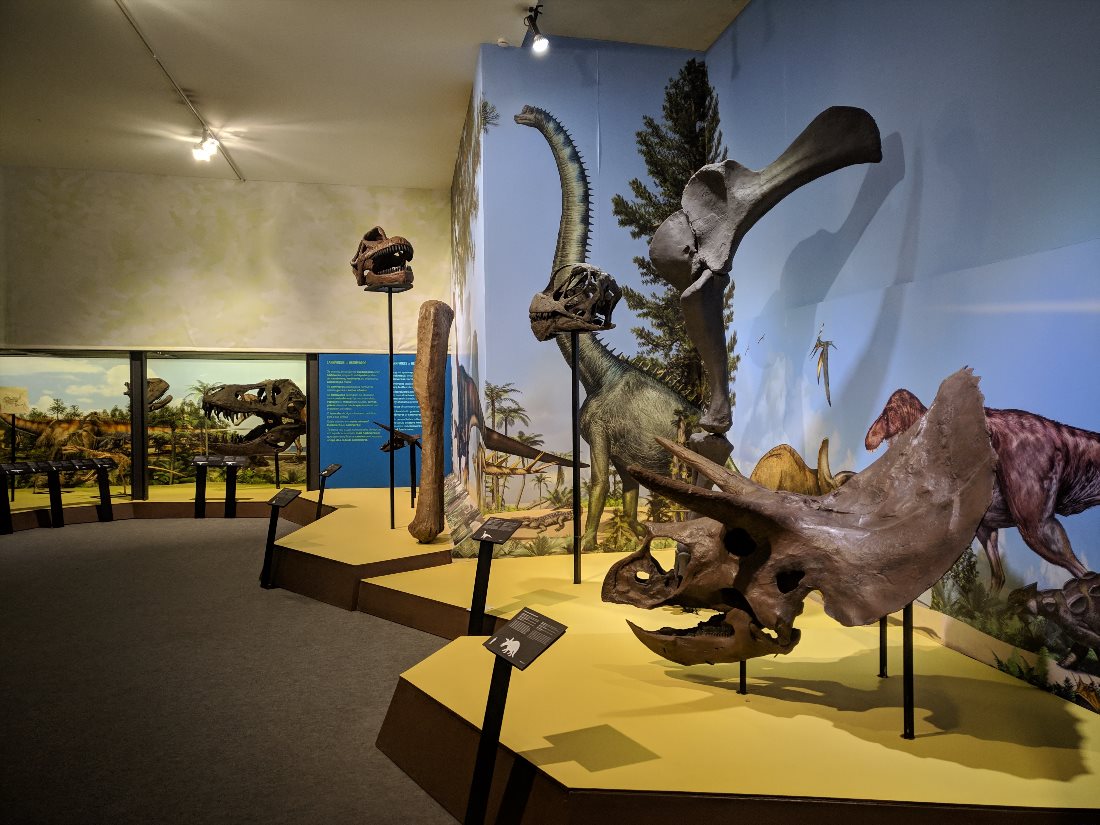 Музей науки и естественной истории