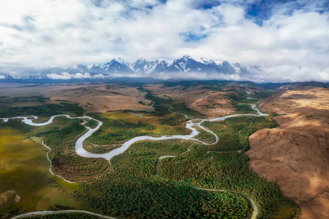 Курайская степь