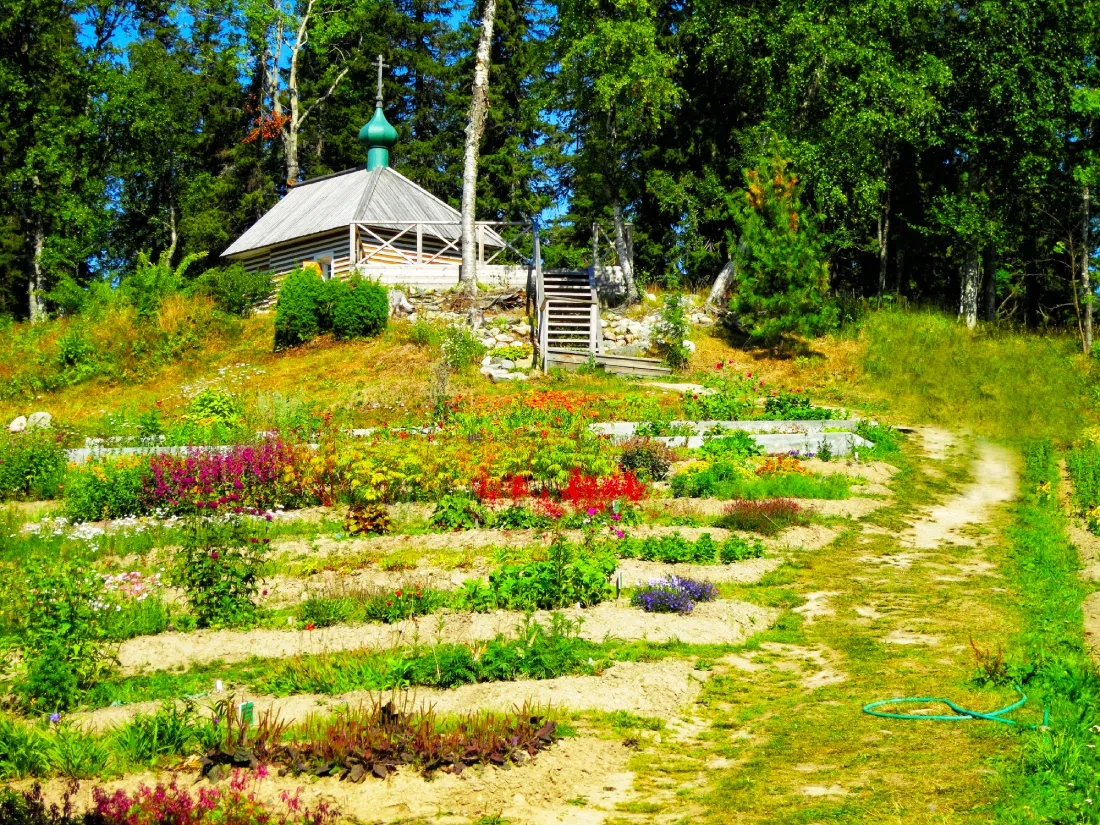 Соловецкий ботанический сад