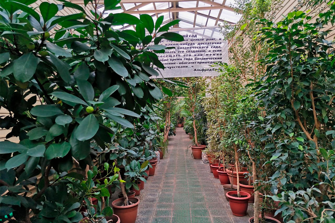 Забайкальский ботанический сад