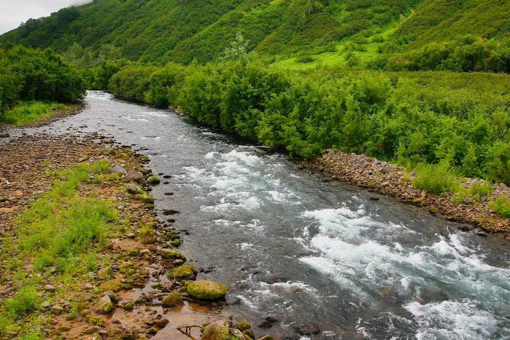 Долина реки Паратунка
