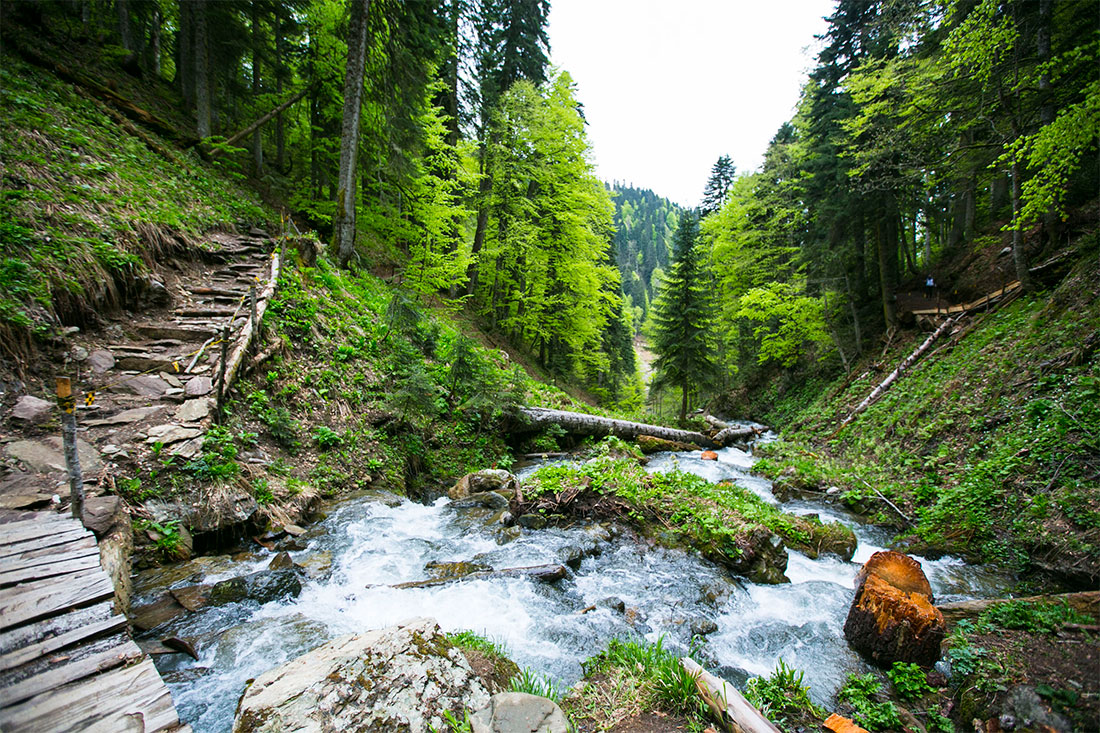 Парк водопадов менделиха фото