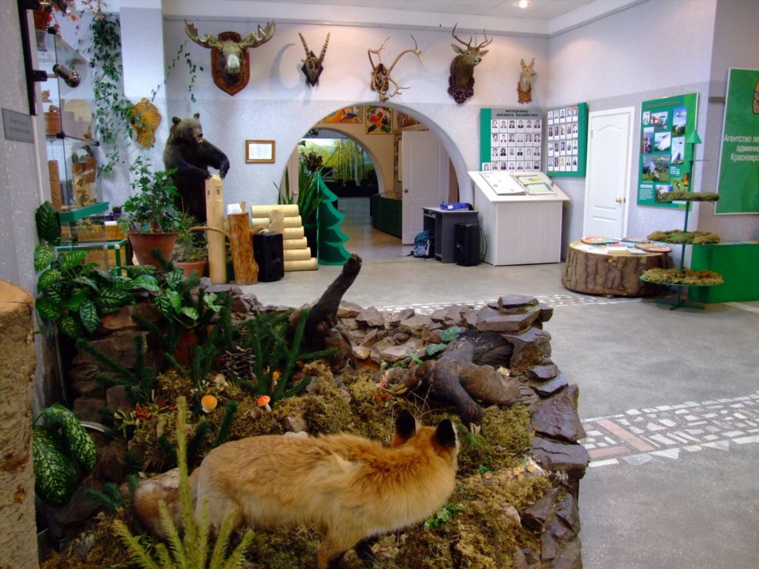 Музей леса