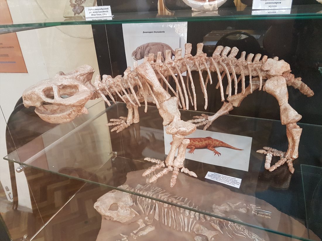 Музей геологии Центральной Сибири GEOS