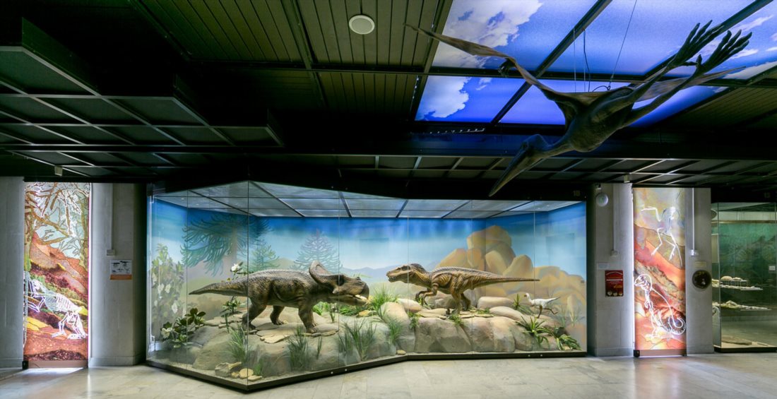 Государственный Дарвиновский музей