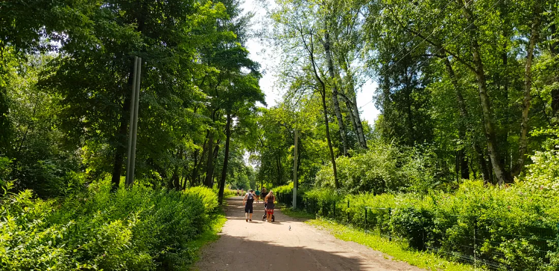 Дендрологический парк Волхонка