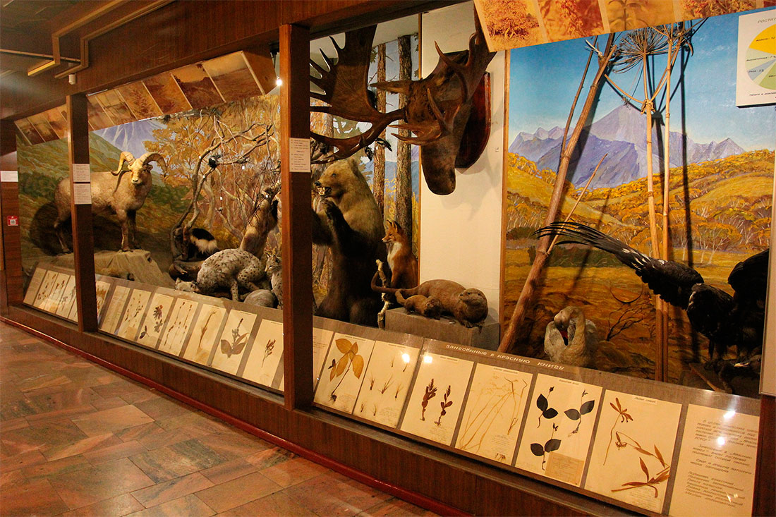 Камчатский областной краевой музей