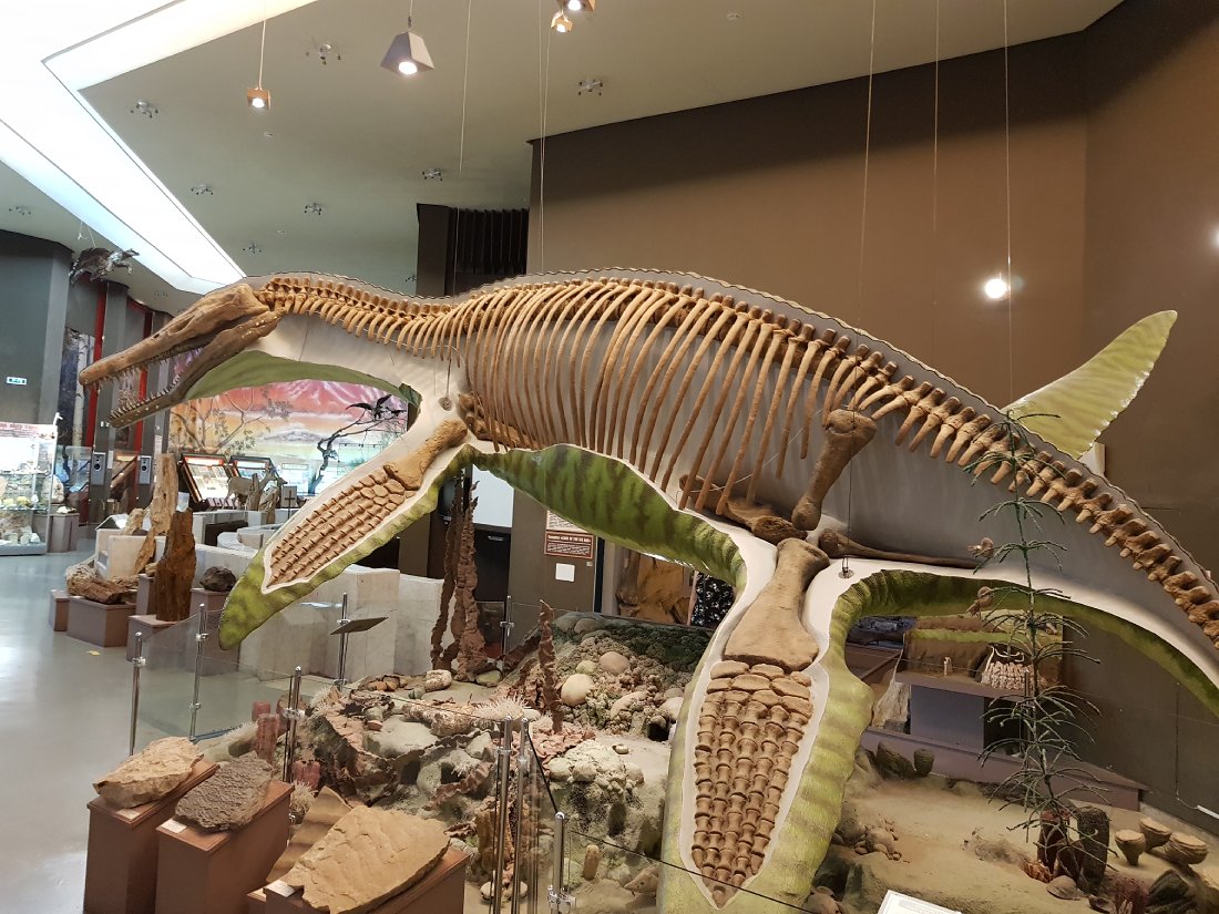 Краеведческий музей им. Алабина