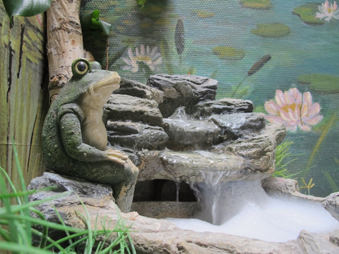 Музей Лягушки