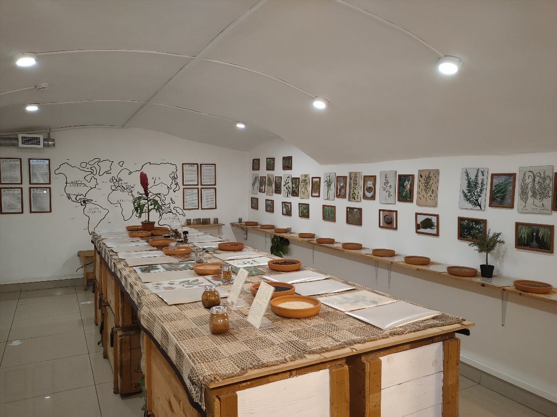 Музей специй