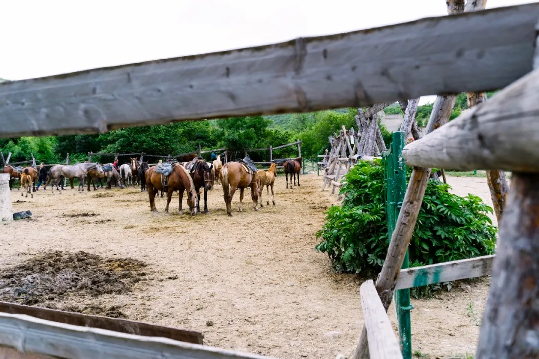 Крестьянско — фермерское хозяйство «Конный путь»