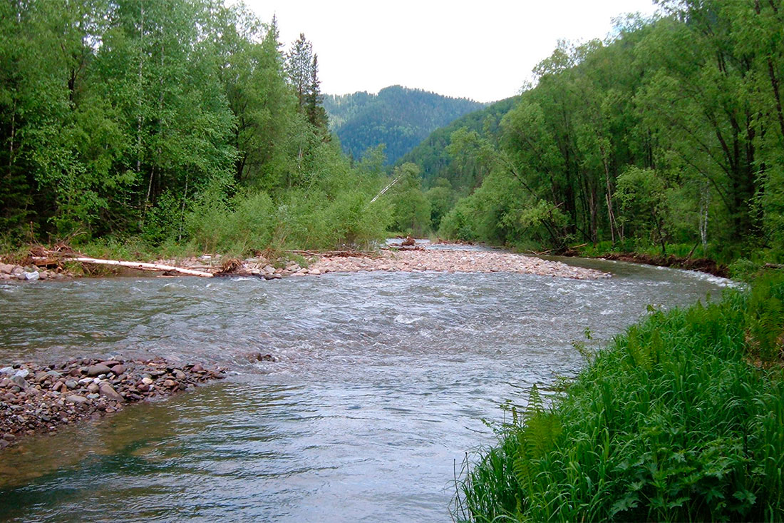 Река Иогач