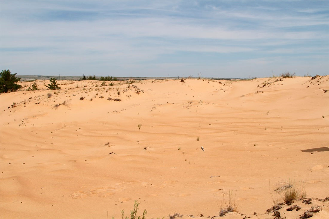 Голубинский песчаный массив