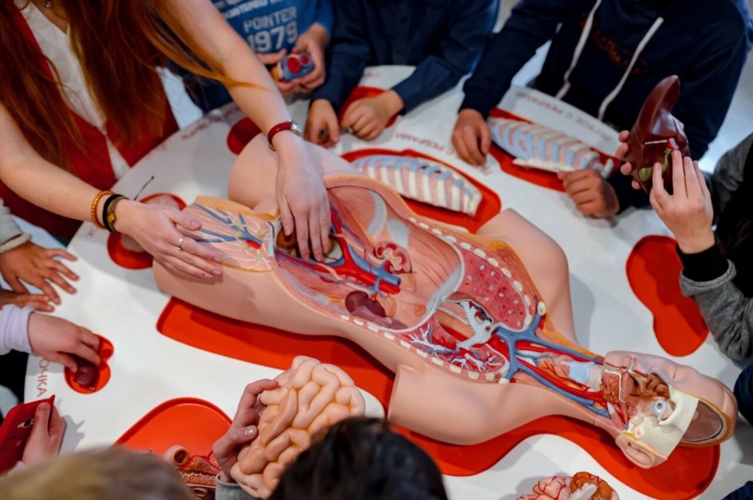 Интерактивный Музей здоровья