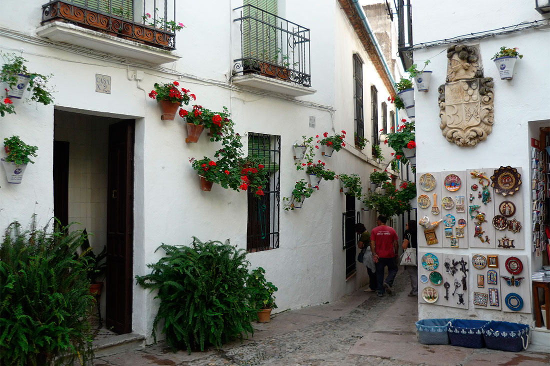 Улица Кальеха де лас Флорес