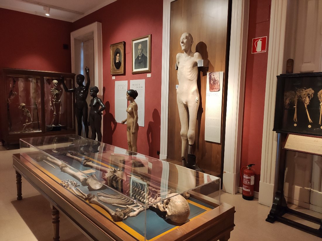 Национальный музей антропологии (Museo Nacional de Antropología)