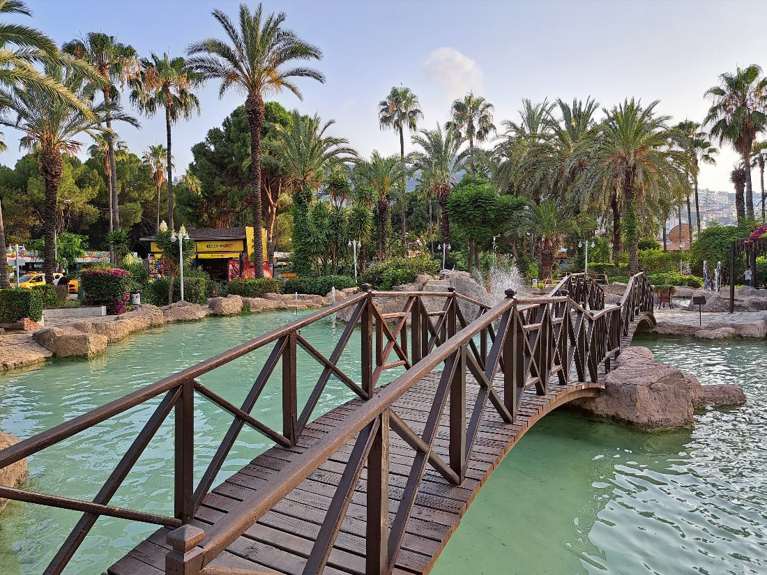 Кошачий Парк (Kedi Evi Park)