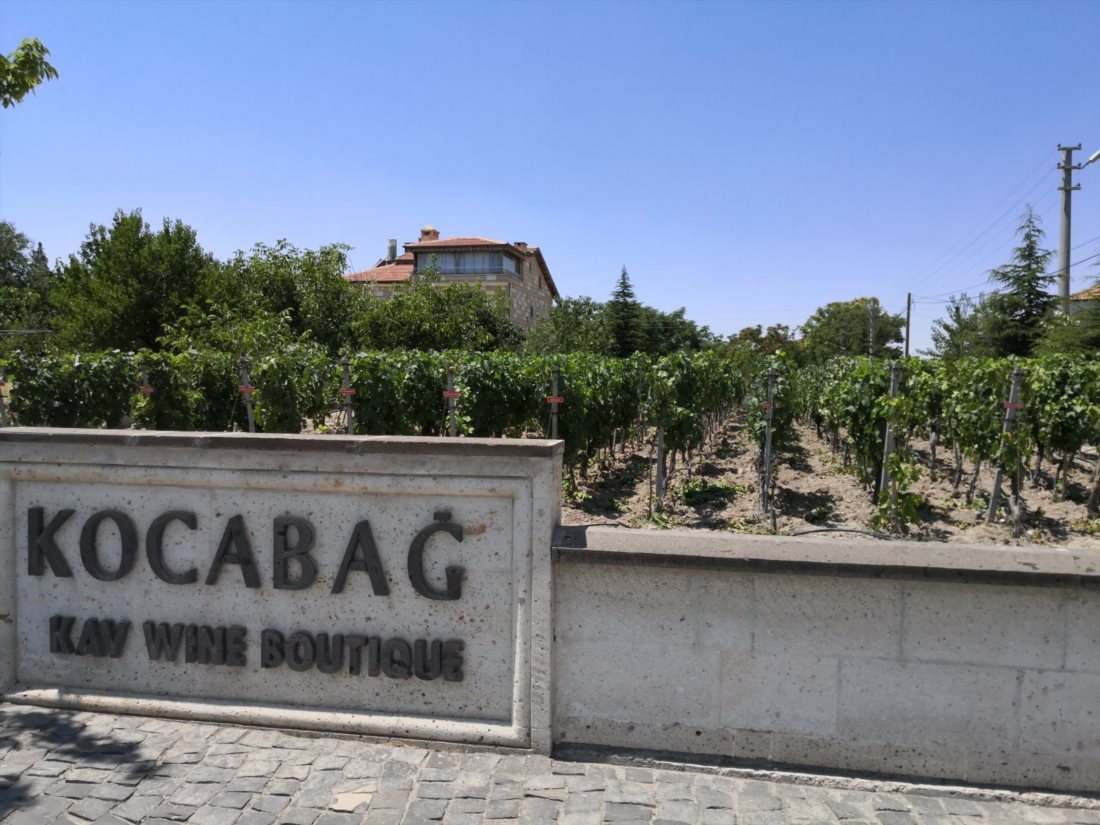 Винодельня Kocabag Winery