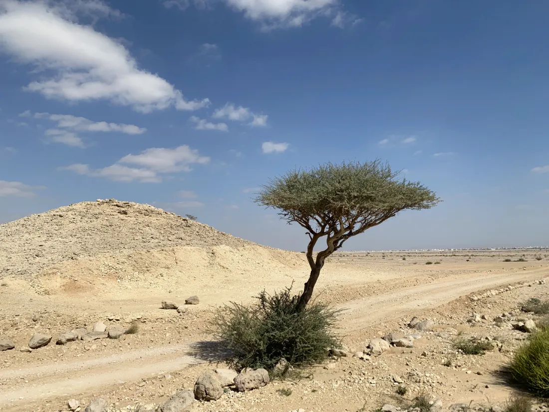Пустынный парк Джебель Хафит