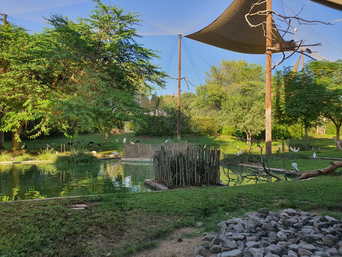 Заповедник «Wasit Wetland Centre».