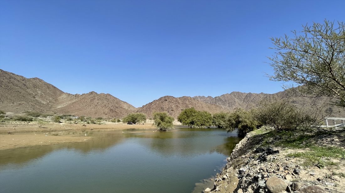 Заповедник «Wadi Al Helo»