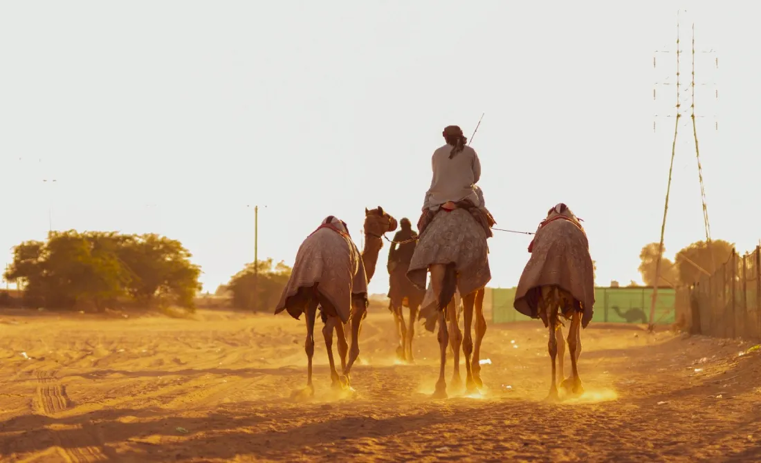 Трасса для верблюжьих бегов Аль-Лабса (Labsah Camel Racing Track)